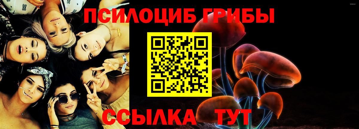 Елабуга  Галлюциногенные грибы Cubensis  Вход с VPN 